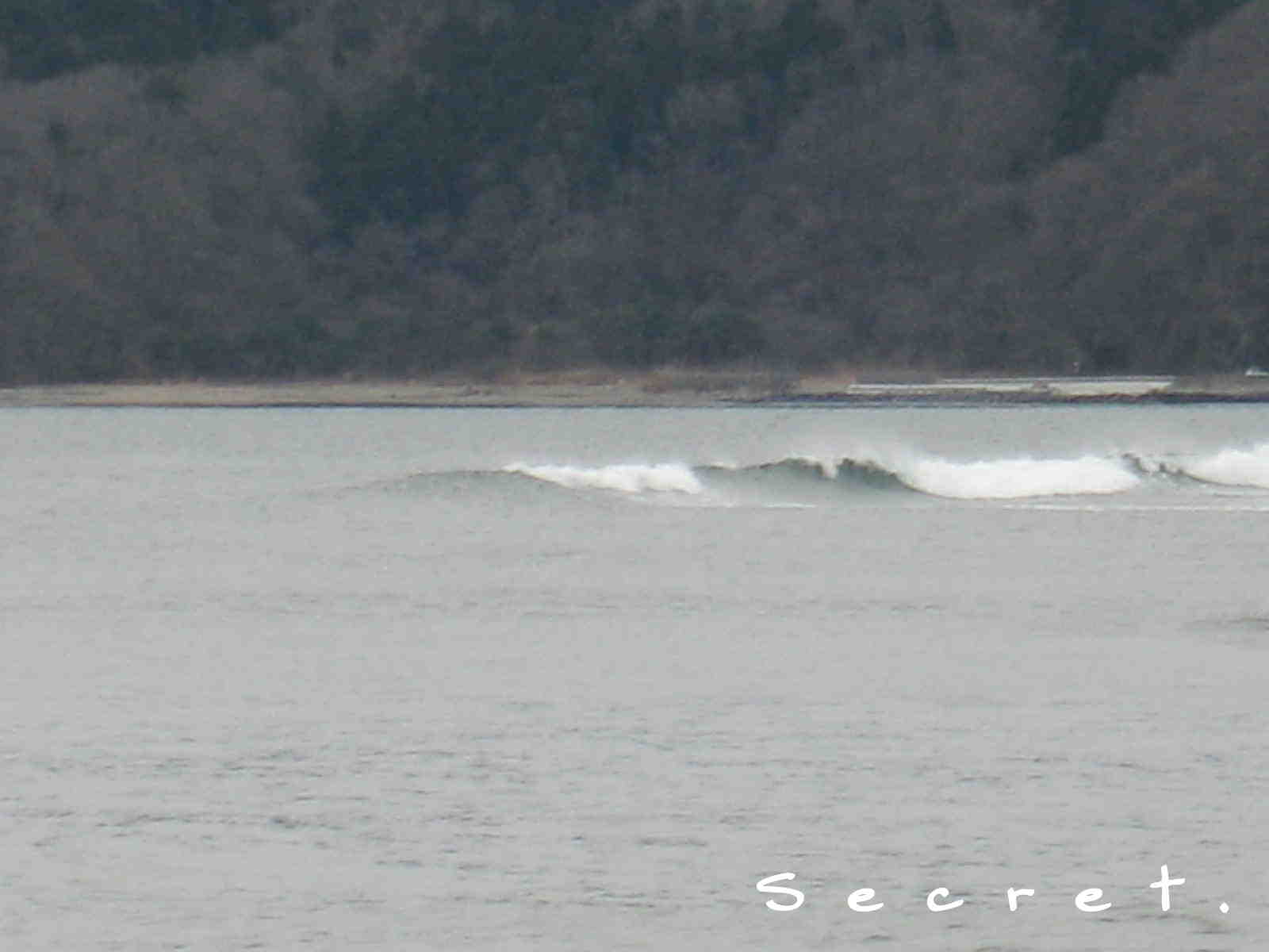 d0085470_17225413.jpg