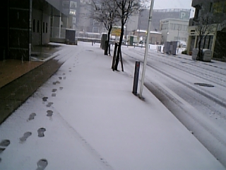 c0061774_16484628.jpg