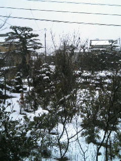 c0150879_1675811.jpg