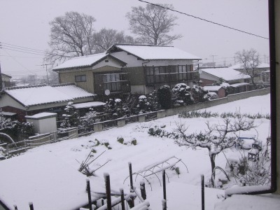 c0078480_13202848.jpg