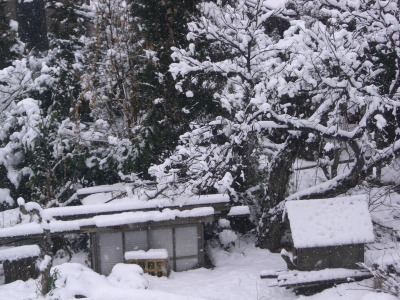c0078480_13344652.jpg