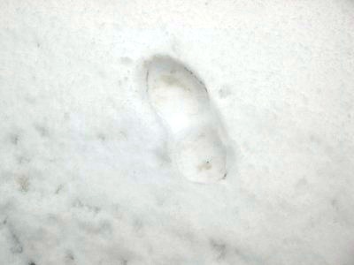 c0078480_13483049.jpg
