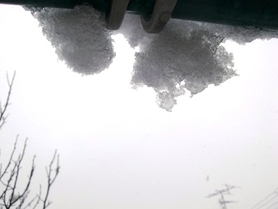 c0078480_1350845.jpg