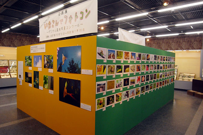 f0090680_2135942.jpg