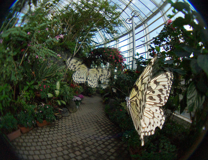f0090680_2141740.jpg