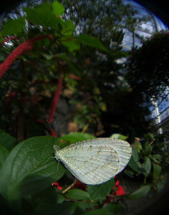 f0090680_2151961.jpg