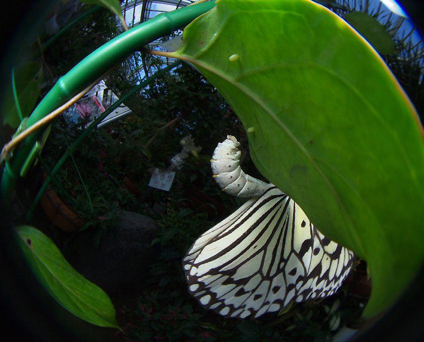 f0090680_215355.jpg