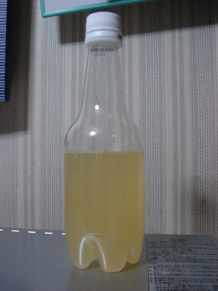 d0085281_21233465.jpg