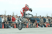 d0099181_10505995.gif