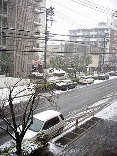 f0088082_2013361.jpg