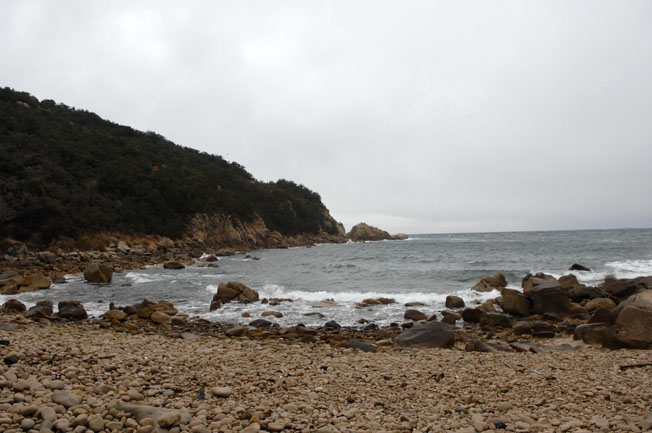 f0112087_20252731.jpg