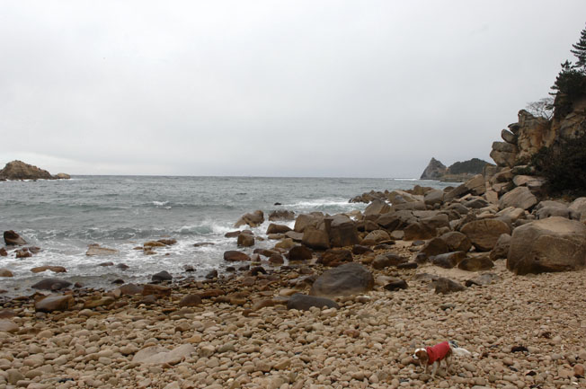 f0112087_20272920.jpg