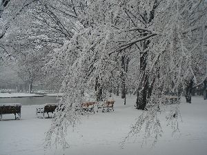 b0101991_1226364.jpg