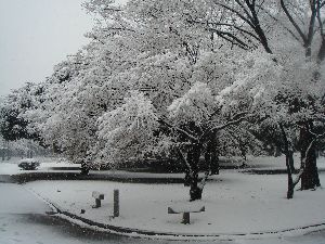 b0101991_12304080.jpg