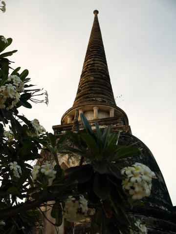 e0129891_13155779.jpg