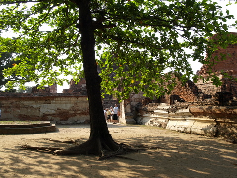 e0129891_14142454.jpg