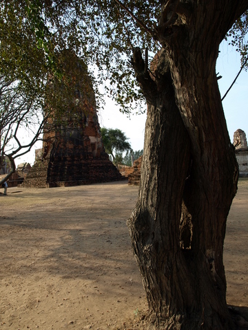 e0129891_1416820.jpg