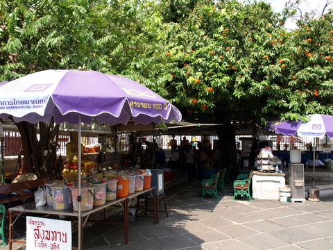 e0129891_1630659.jpg