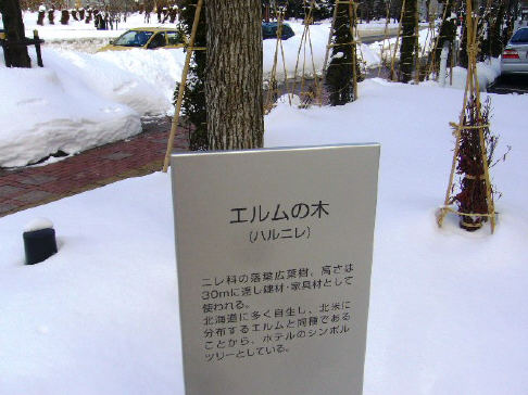 f0029393_645071.jpg