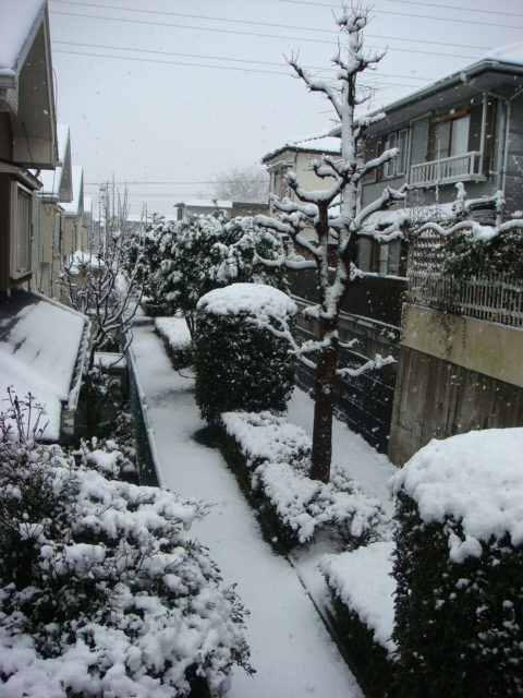f0137694_10545962.jpg