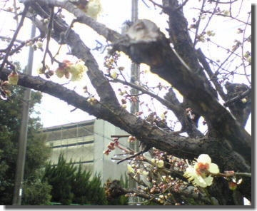 a0058195_21364489.jpg