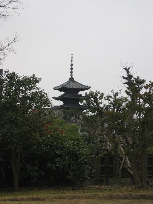 f0010195_23102746.jpg