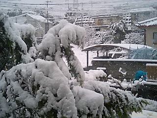 c0023399_13323113.jpg