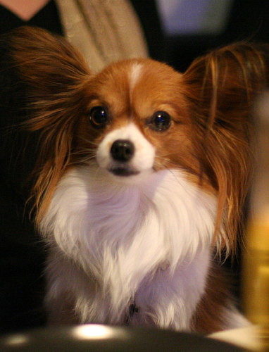 c0044199_16384846.jpg