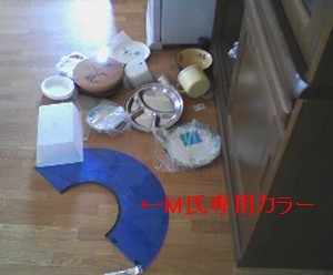 c0083999_18362576.jpg