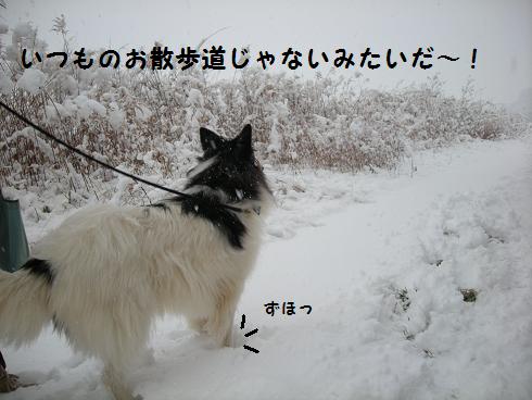 f0081100_23301341.jpg