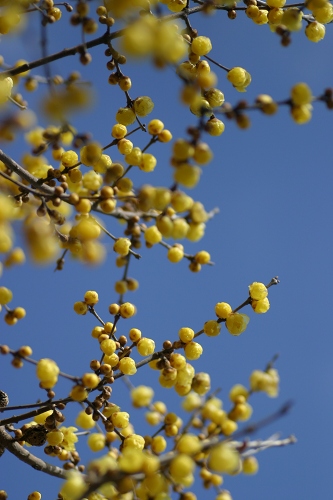 e0092203_20115378.jpg
