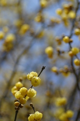 e0092203_20122361.jpg