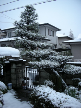 c0145209_019175.jpg