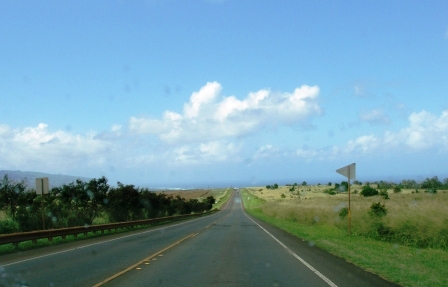 e0078510_2042236.jpg