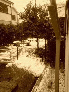 f0130913_1542450.jpg