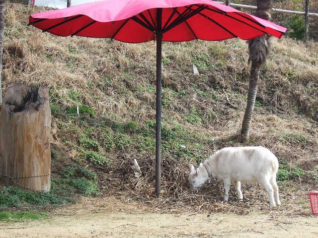 c0127617_21175290.jpg