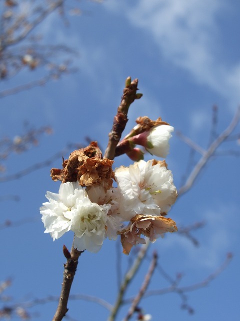 c0127617_2121344.jpg