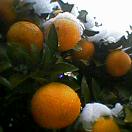 d0085018_14392472.jpg
