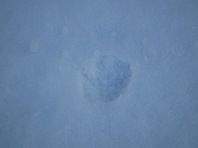 e0121418_19495650.jpg