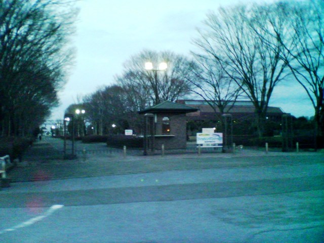 a0097823_2347498.jpg