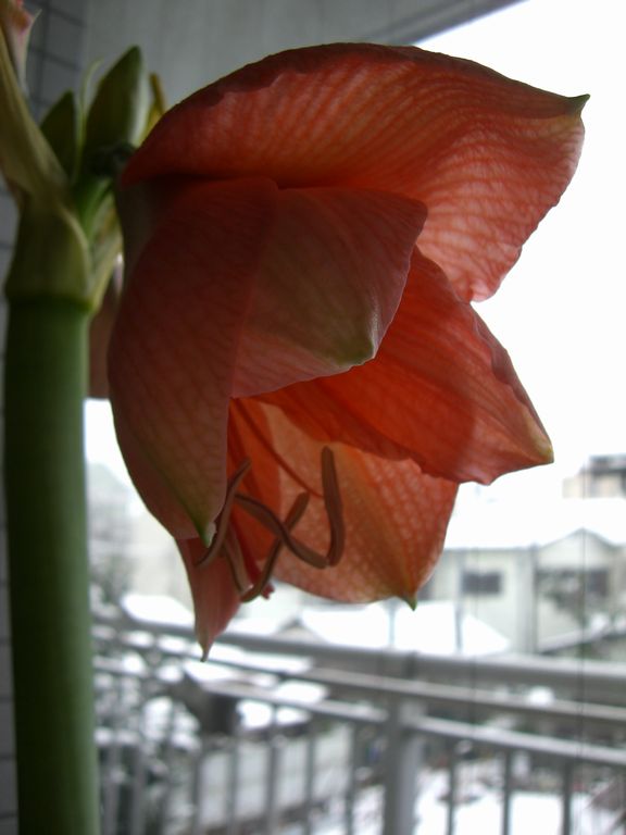 c0152123_11131559.jpg