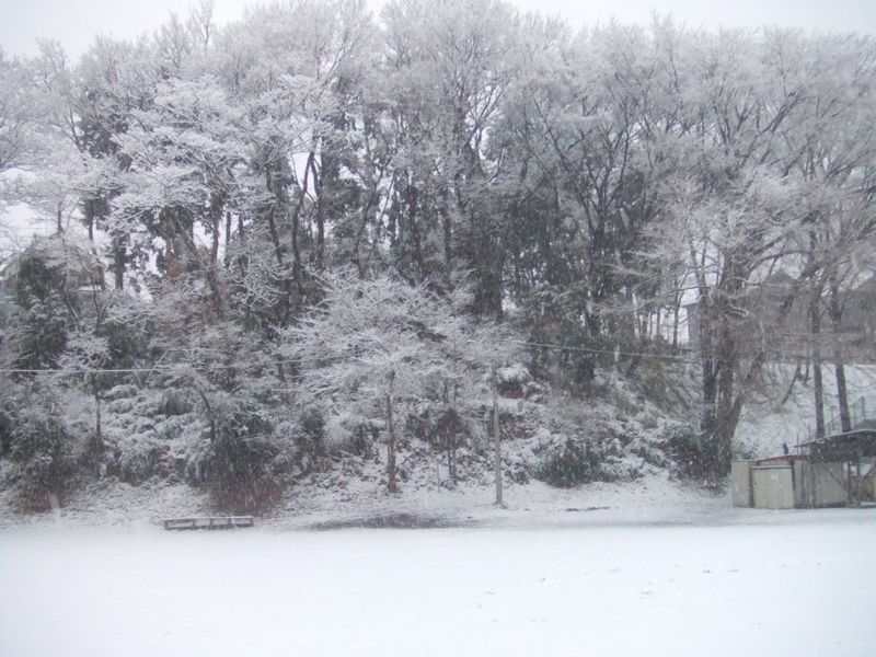 a0105425_018422.jpg