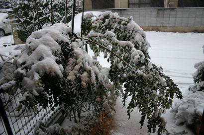 c0157226_09016.jpg