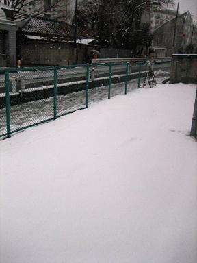 d0115326_14463359.jpg