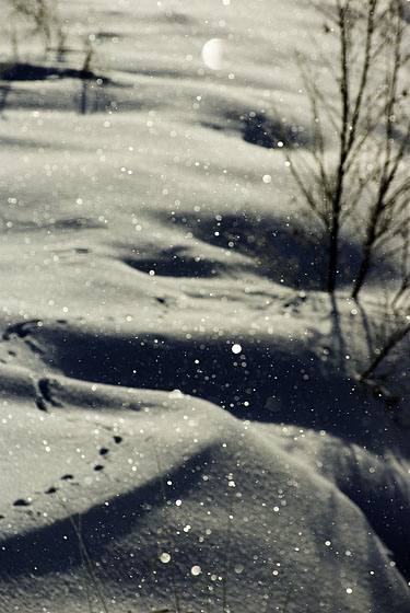 e0025030_18525718.jpg