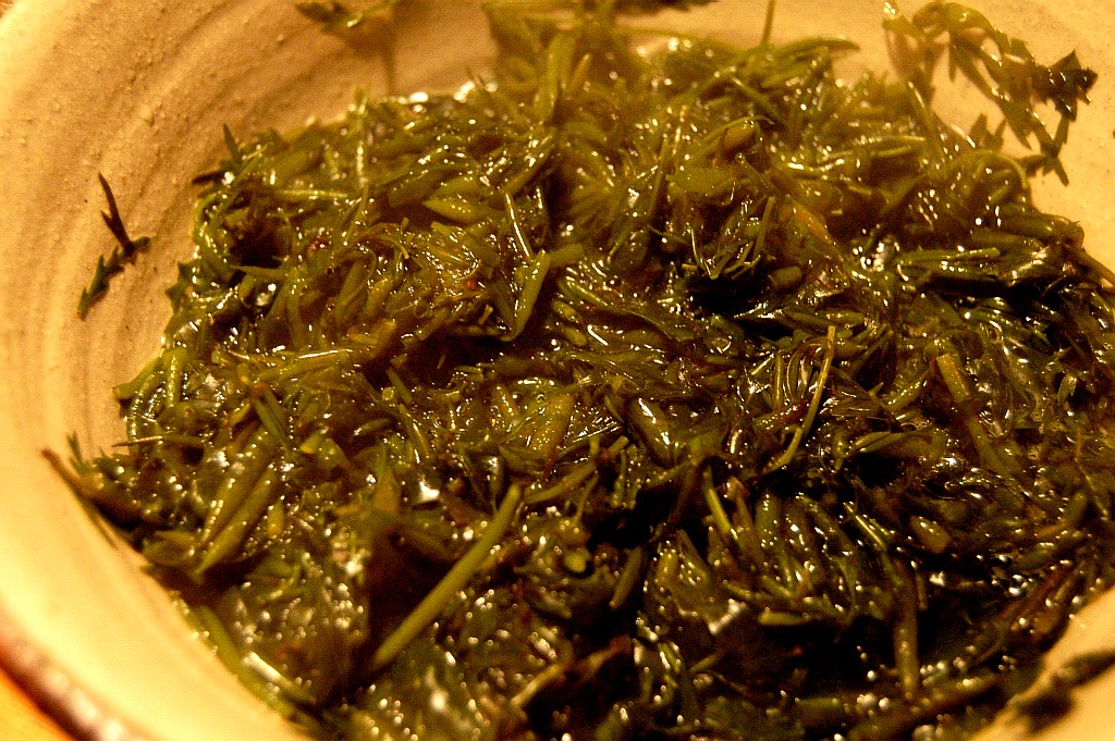 e0107030_204336.jpg
