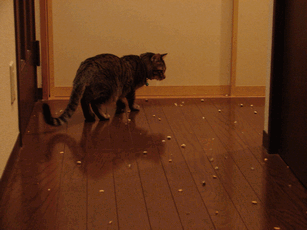c0136736_19352695.gif