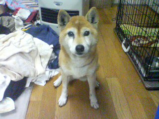 f0121536_1821873.jpg