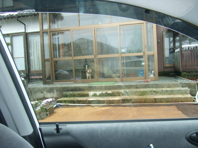 d0150739_20364939.jpg