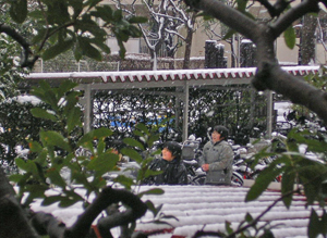 f0032340_053585.jpg